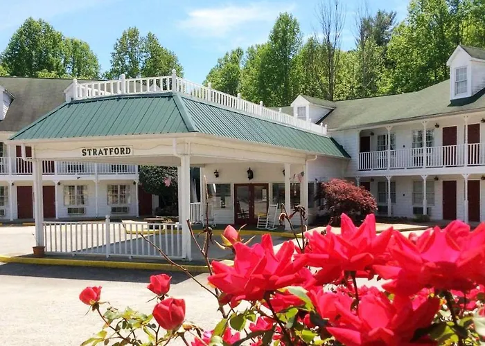 Discover the Best Hotels in Ellijay, GA for Your Next Getaway