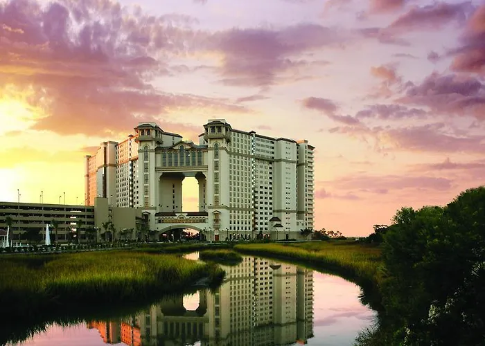 Discover the Best Myrtle Beach Hotels That Welcome Pets